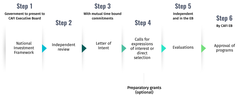 CAFI-overview-steps