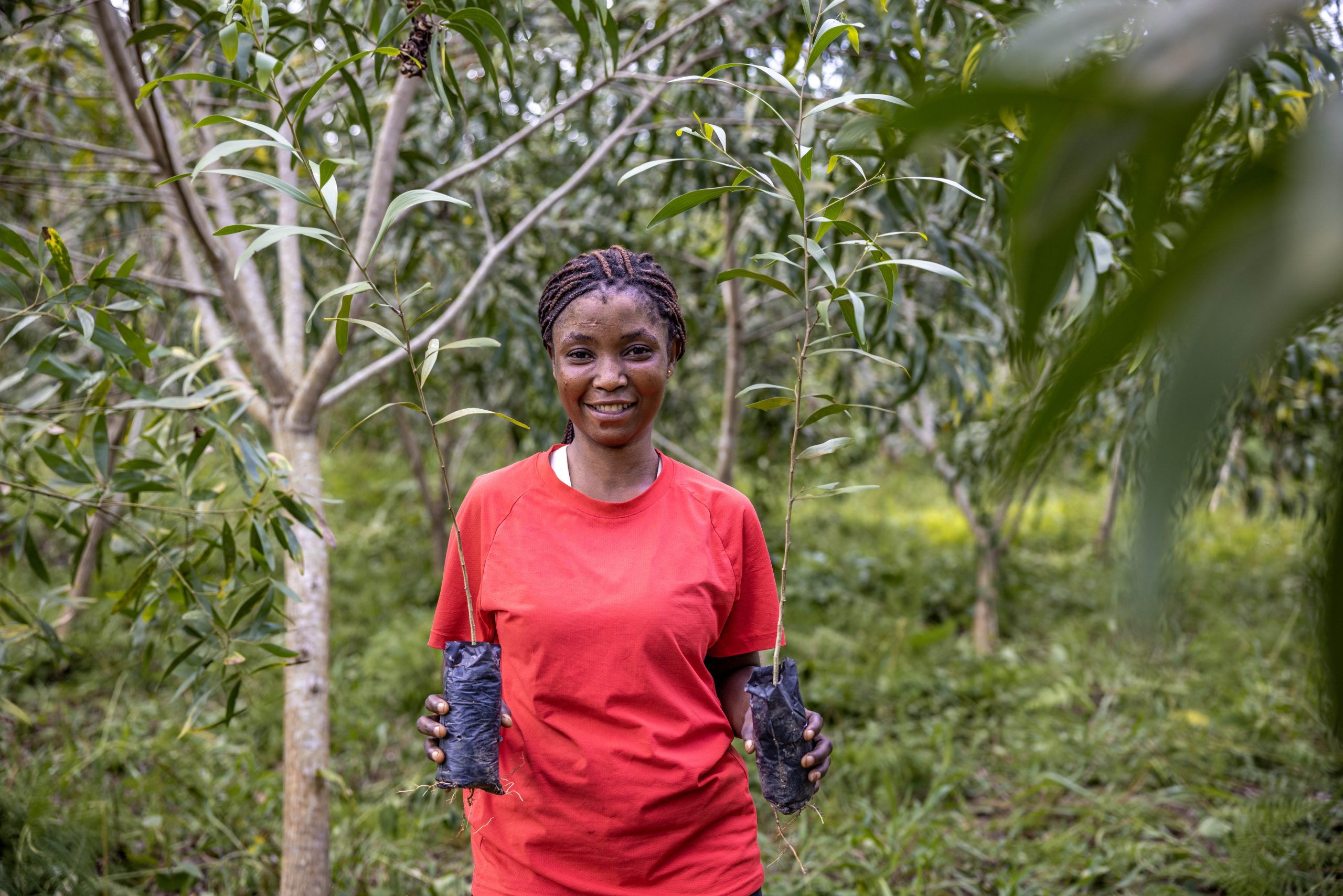 Deploying Payments for Environmental Services at scale in Central Africa