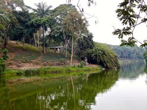 PIREDD Sud Ubangui