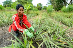 Women beneficiary in Mongala province