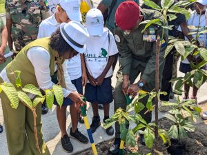 Gabon - Planting urbain Baie des Rois 13 dec 2024