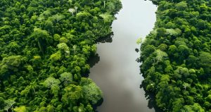 Integrated Grand Mbam landscape